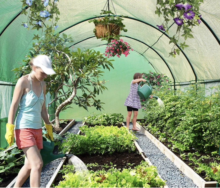 Теплица садовая - парник Holla Garden Польша 6м2 (300х200х200)