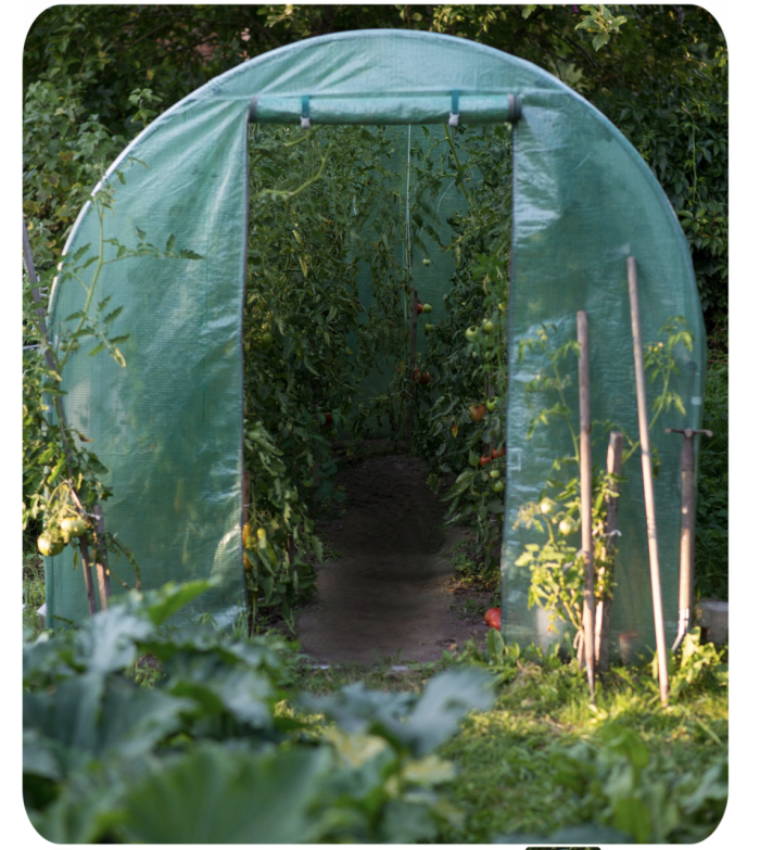 Теплица парник садовый для дома Plonos 9m2 (2x4,5м) Польща