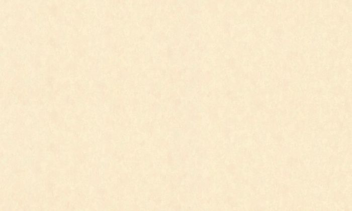 Обои Мегаполис 9056-14 флизелиновые (1,06х10,05м)