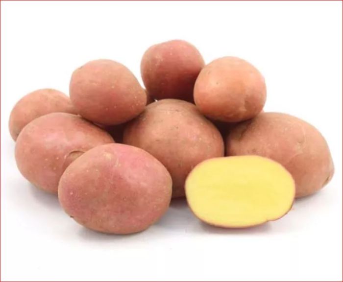 Семенной картофель Эсми (ранний) 1 репродукция