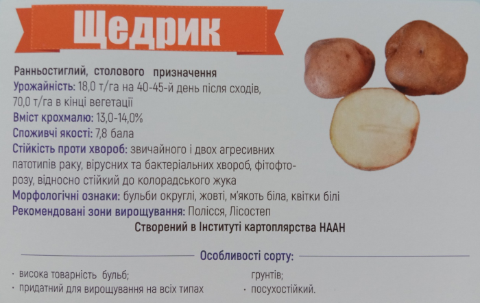 Семенной картофель Щедрик (ранний) элита