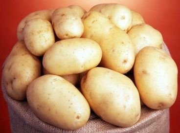 Семенной картофель Королева Анна (среднеранний) 1 репродукция